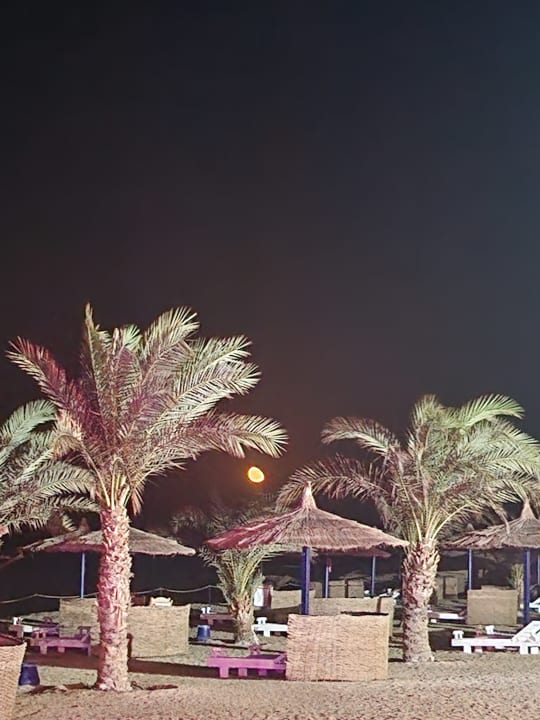 Ausblick Coral Sun Beach