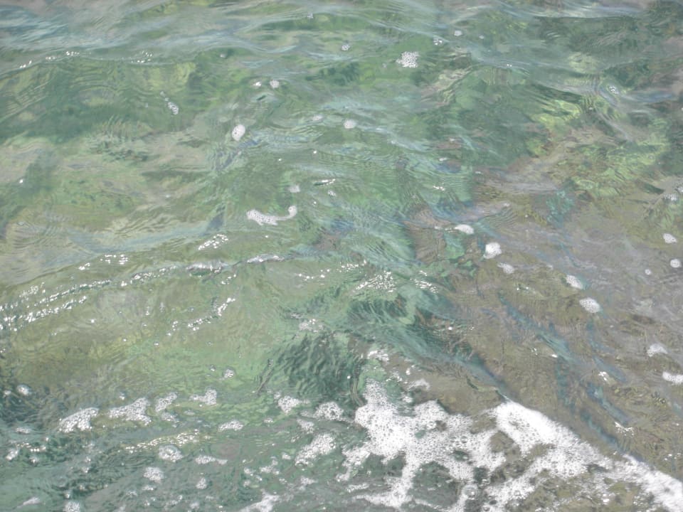 Kristalklares Waser Gold Island Selected