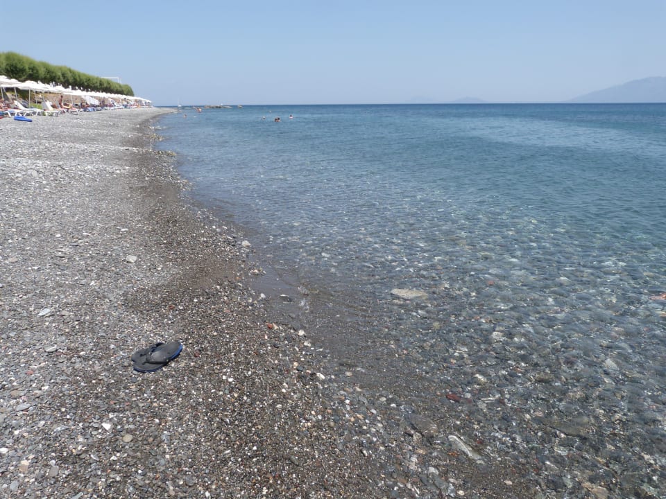 Strand Dimitra Beach Hotel & Suites