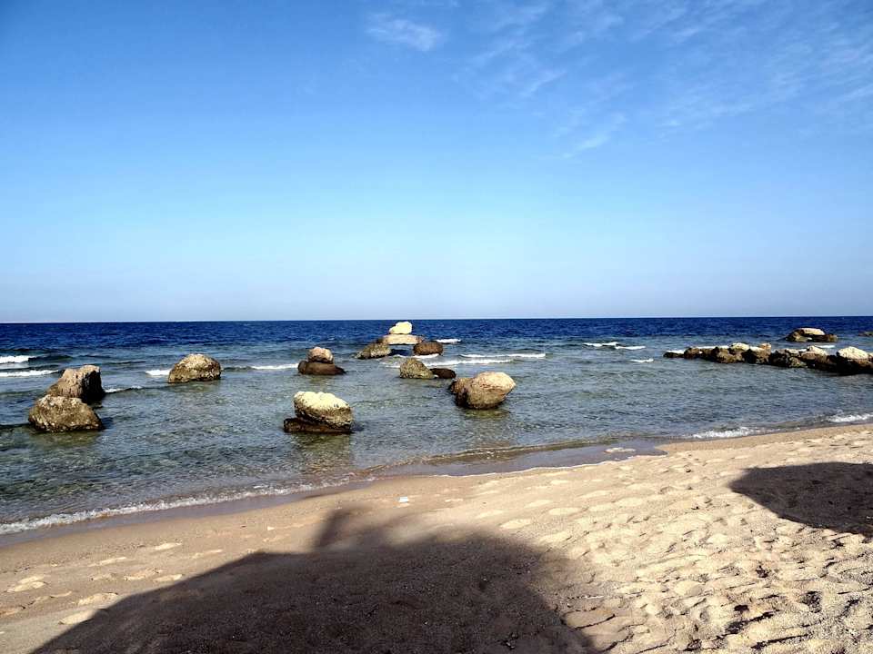 Aussicht Pickalbatros Citadel Resort