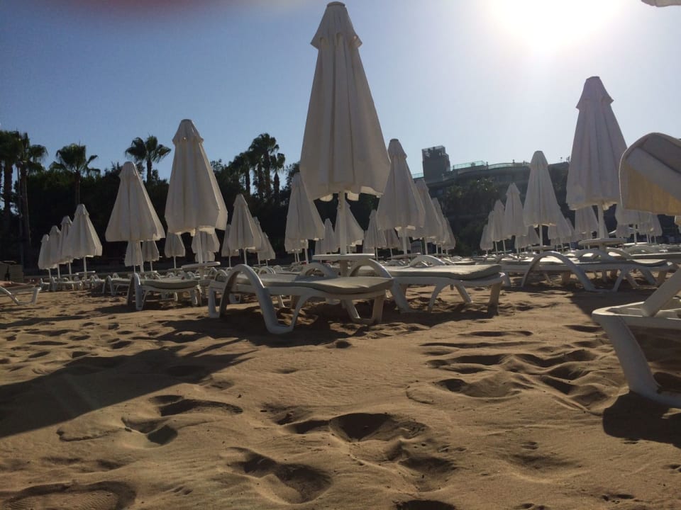 Strand Arum Barut Collection