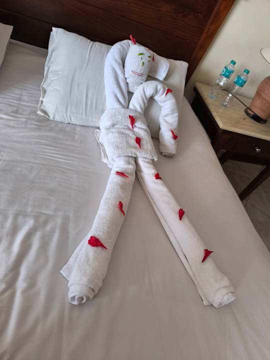 Zimmer Casa Mare Resort