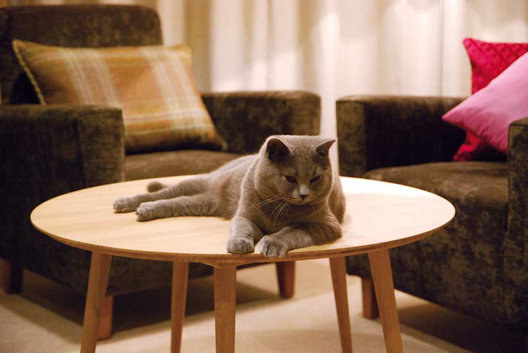 Zimmer Pension Alpenfluh