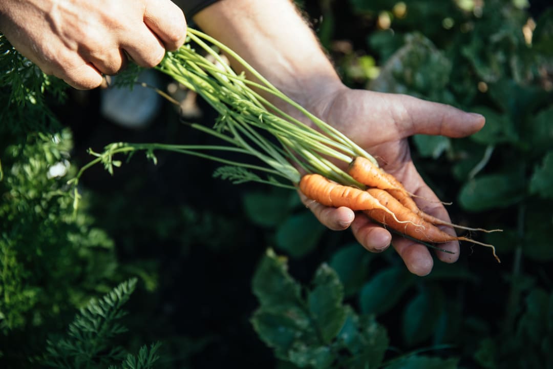 Gartenanlage Hotel Tirolerhof