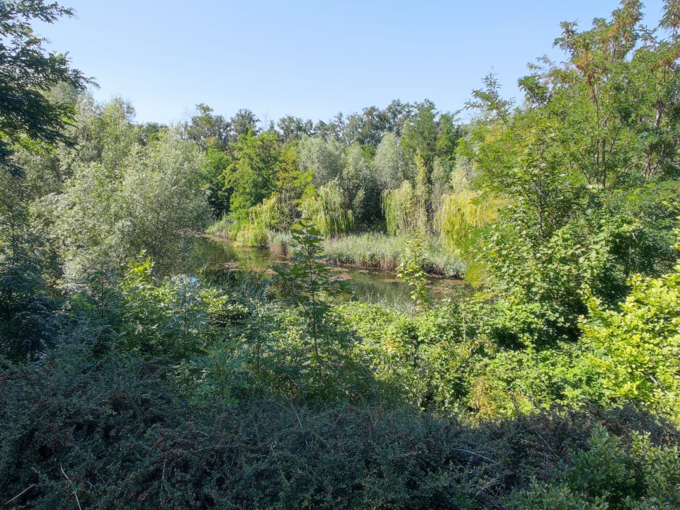 Gartenanlage Hotel Acamed Resort