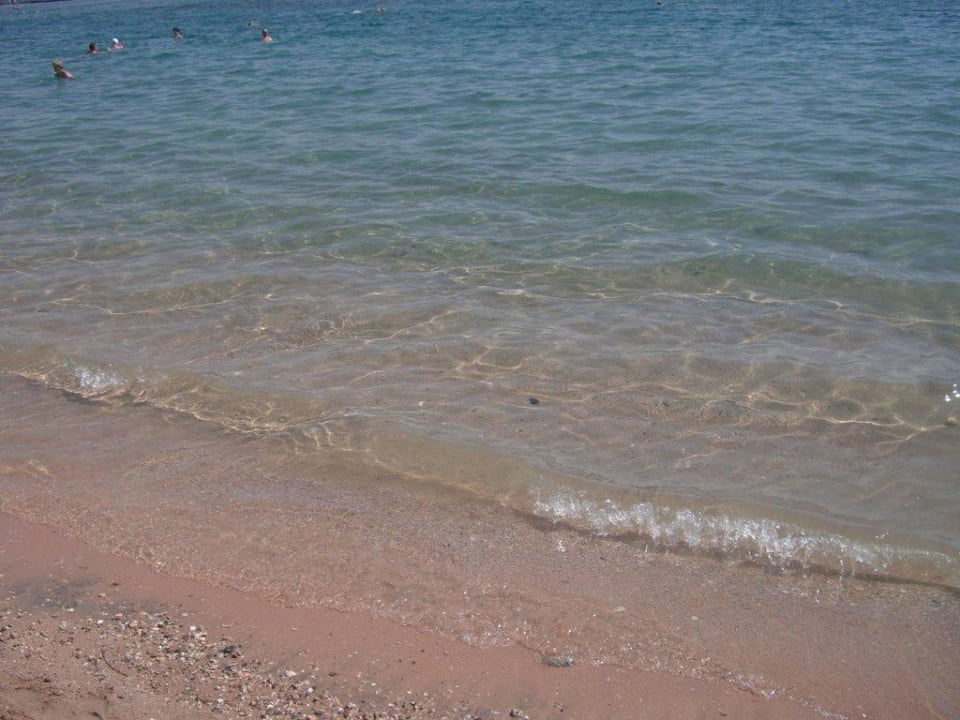 Sommer, Sonne, Strand und Meer Jaz Makadi Oasis Resort