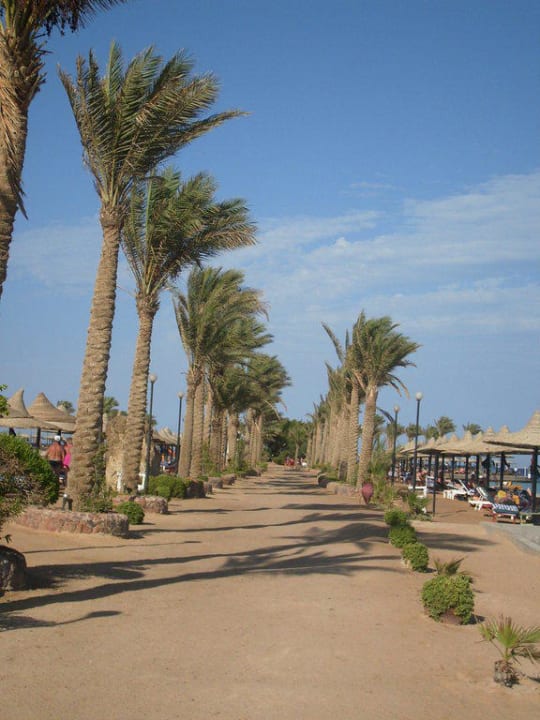 Weg zum hoteleigenen Riff Arabia Azur Resort