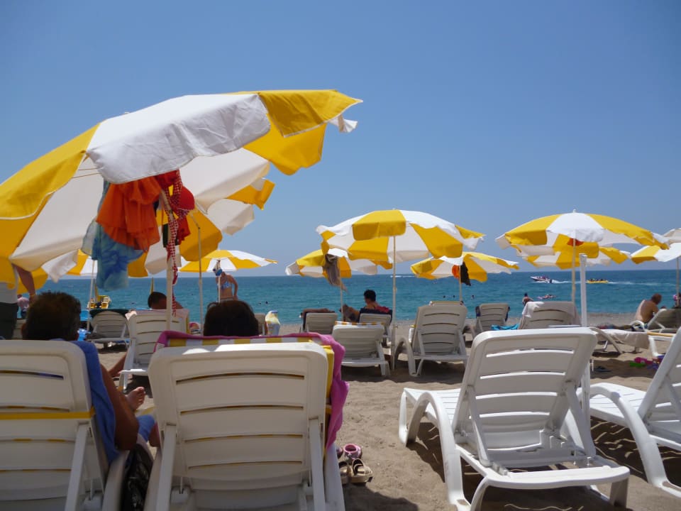 Von der Liege aus Hotel Gardenia Beach