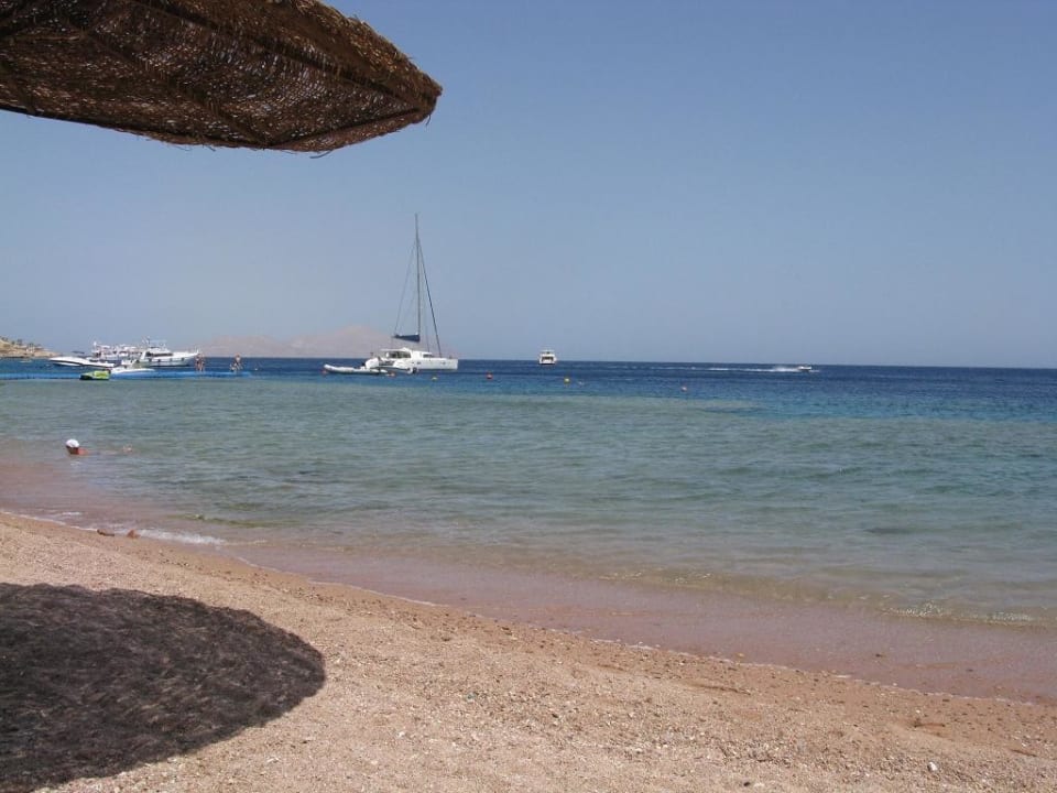 Vor den Strandzimmern Hotel Sunshine Divers Club