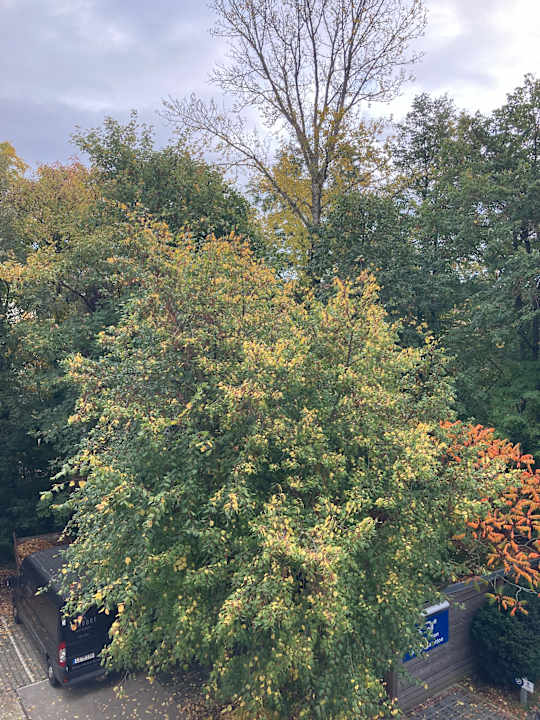 Ausblick Best Western Hotel Windorf