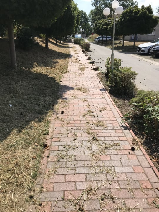 Gartenanlage Ferienwohnungen Ferienpark Weissenhäuser Strand