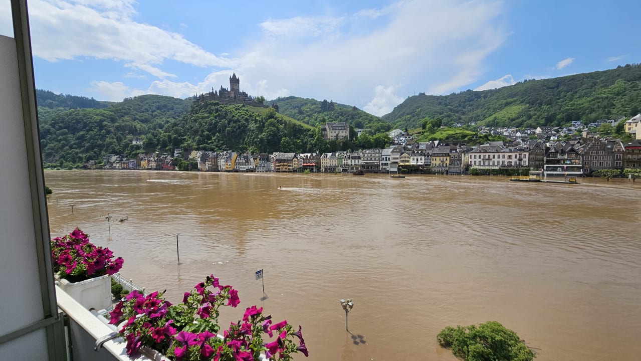 Ausblick Moselstern Hotel Brixiade & Triton