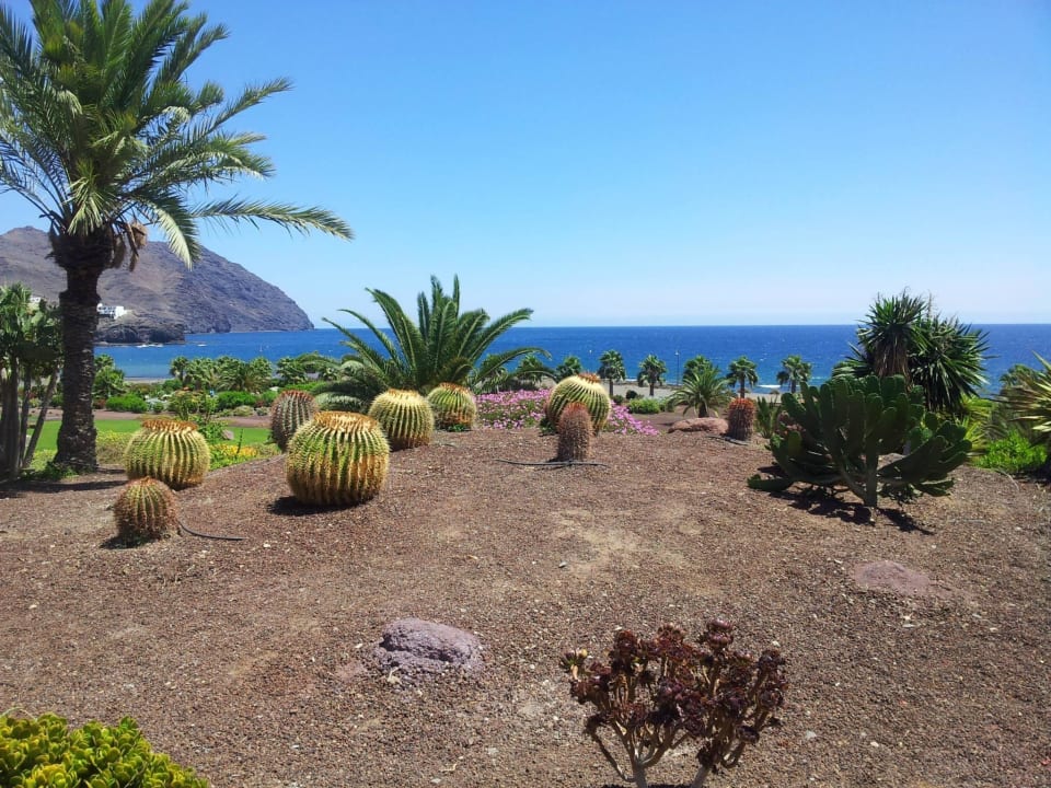 The ocean view Playitas Aparthotel