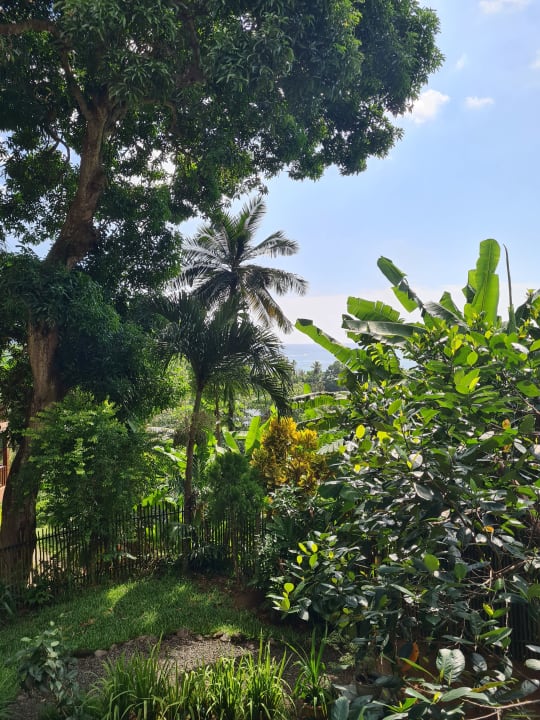 Gartenanlage Fler Payanke Apartment