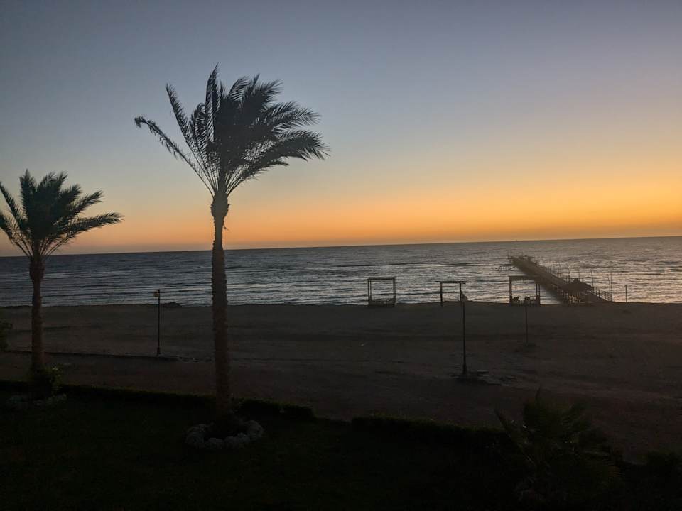 Ausblick Malikia Resort Abu Dabbab