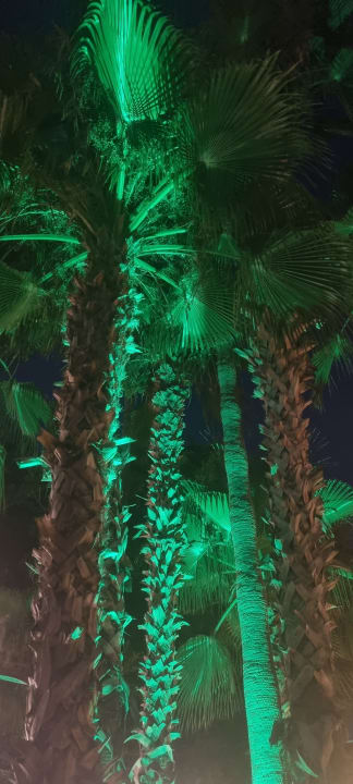 Gartenanlage Labranda Alantur Resort