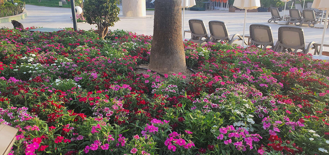 Gartenanlage VONRESORT Golden Coast