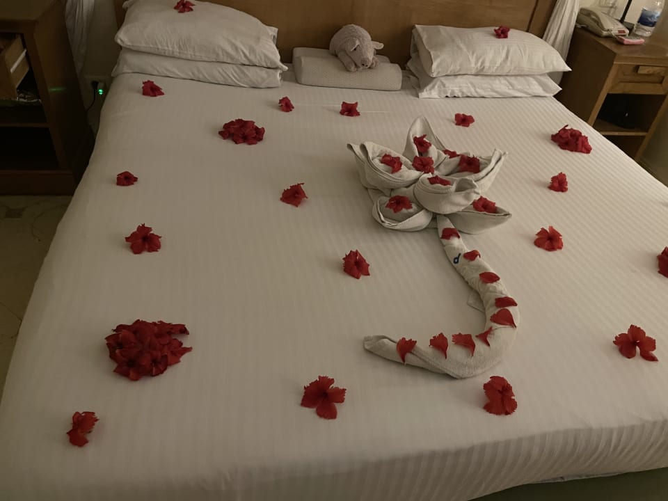 Zimmer Makadi Palace