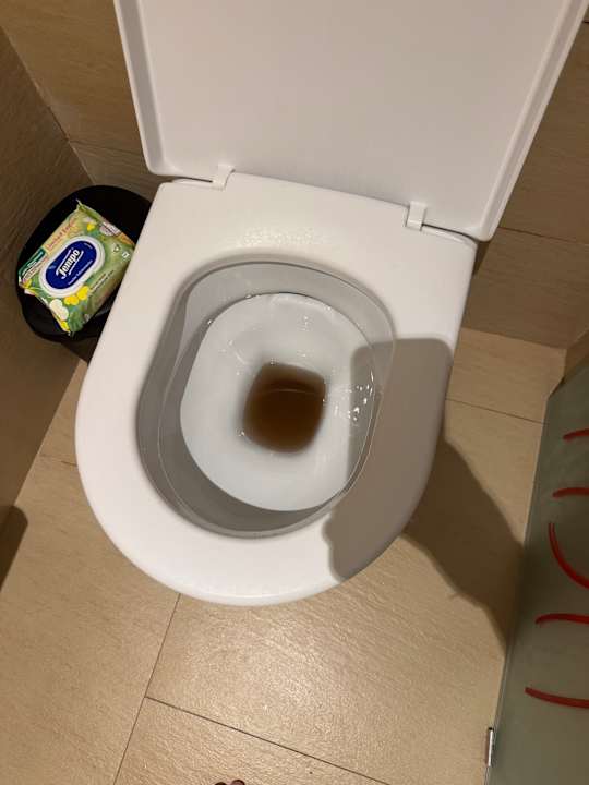 Zimmer Barceló Bávaro Palace