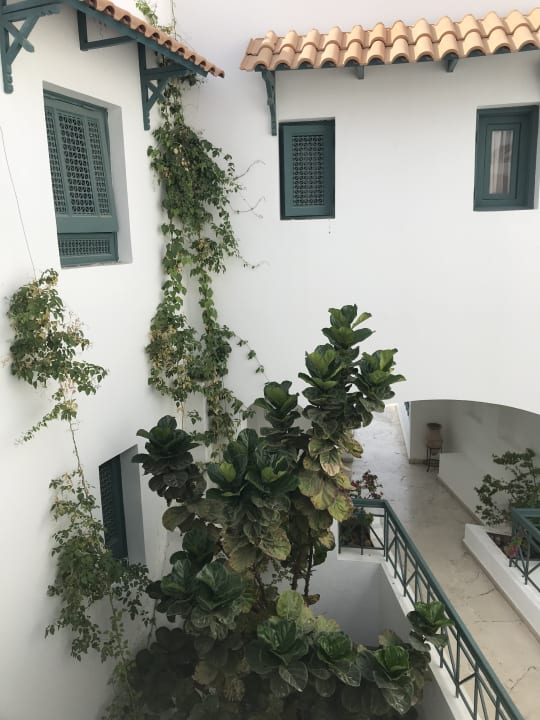 Gartenanlage JAZ Neo Naama Bay