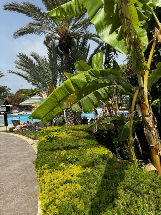 Gartenanlage Belconti Resort Hotel