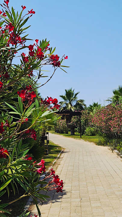 Gartenanlage Xanadu Resort Hotel