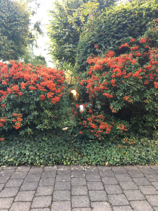 Gartenanlage Hotel HANSA