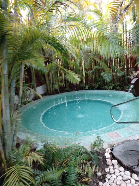 Pool Akumal Bay Beach & Wellness Resort