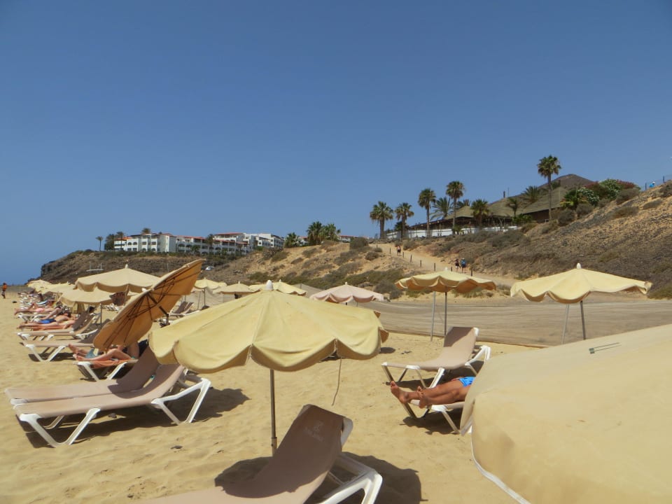 Strandabschnitt mit Sonnenliegen allsun App.-Hotel Esquinzo Beach