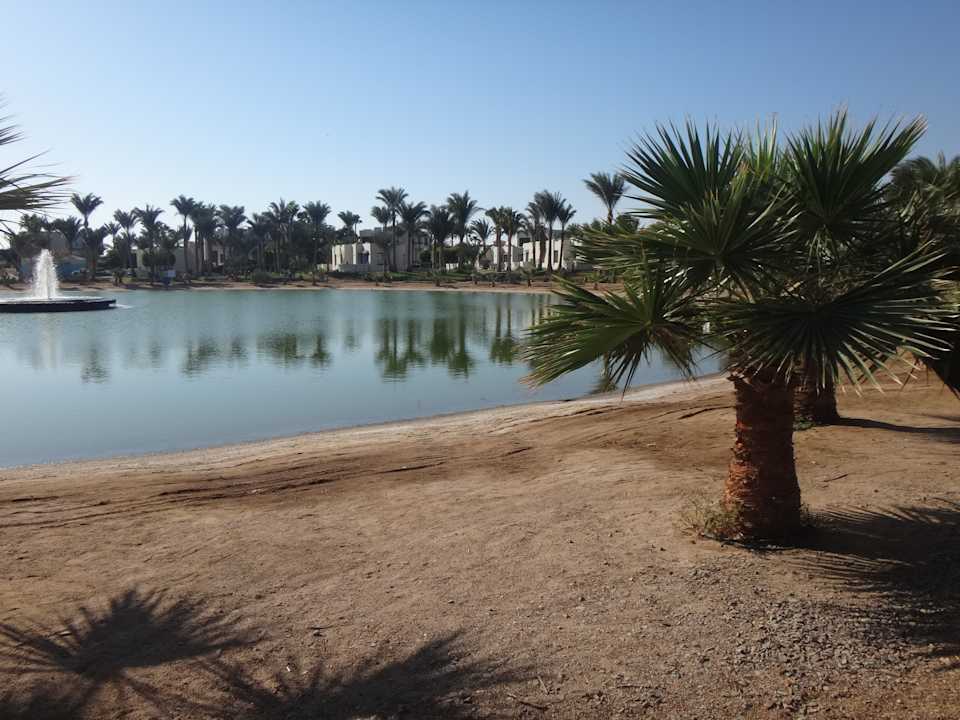 Ausblick Pharaoh Azur Resort