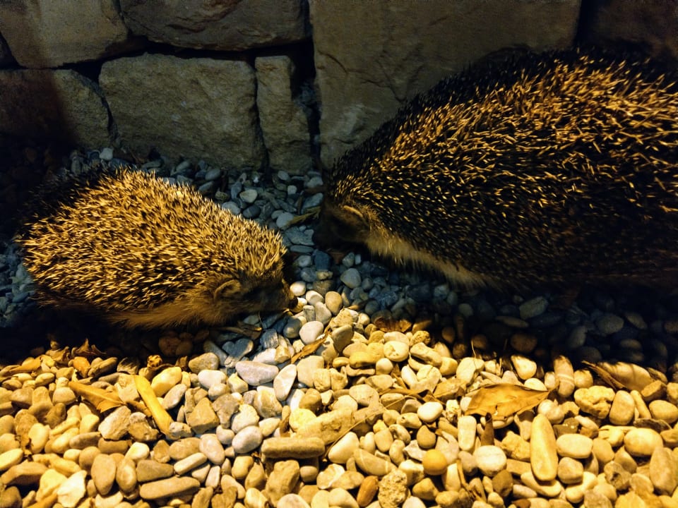 Strand Melas Resort Hotel