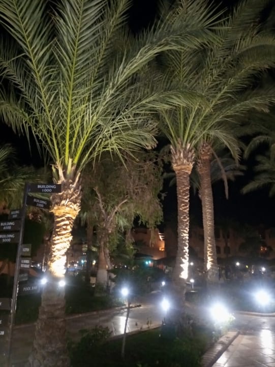 Ausblick Jaz Makadi Oasis Resort