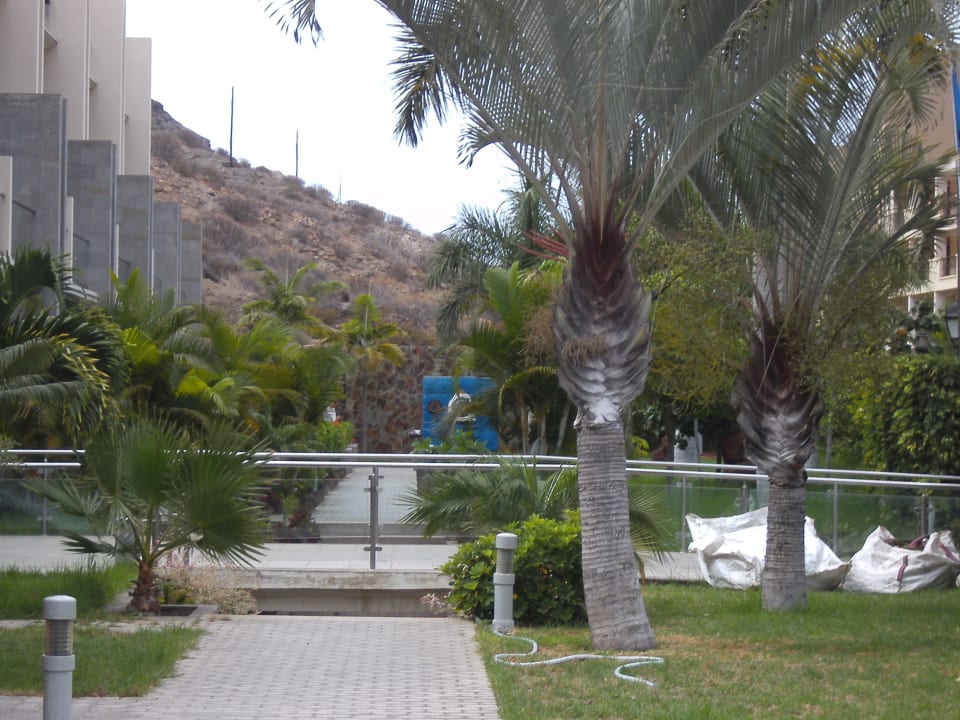 Garten LIVVO Costa Taurito