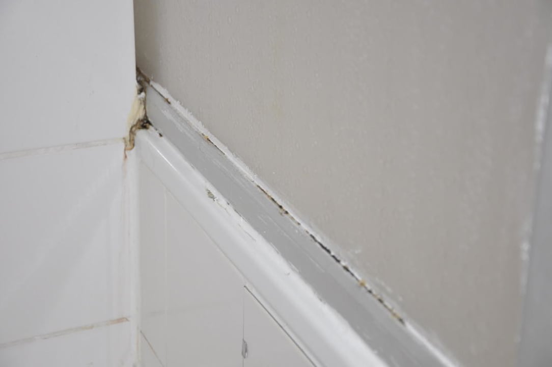 Noch ein bisschen Schimmel gefällig Hotel Domicil Hamburg by Golden Tulip