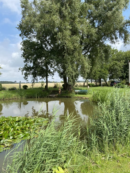 Gartenanlage Hotelpension Altes Zollhaus-Leybucht