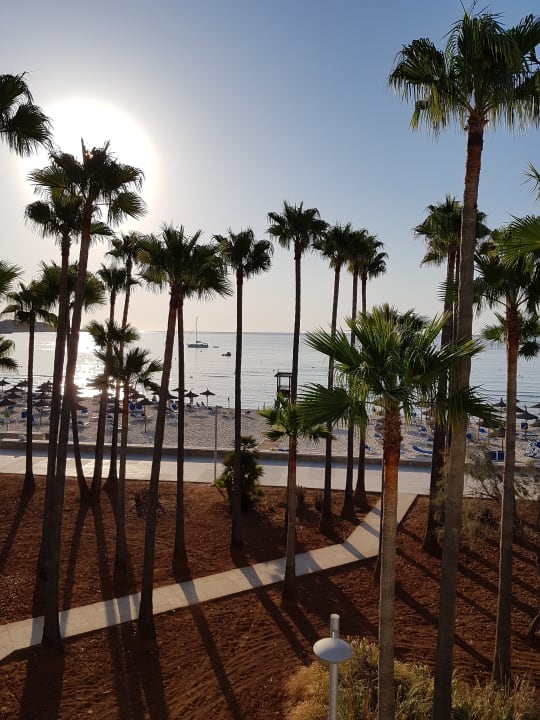 Ausblick Hipotels Mediterraneo Club