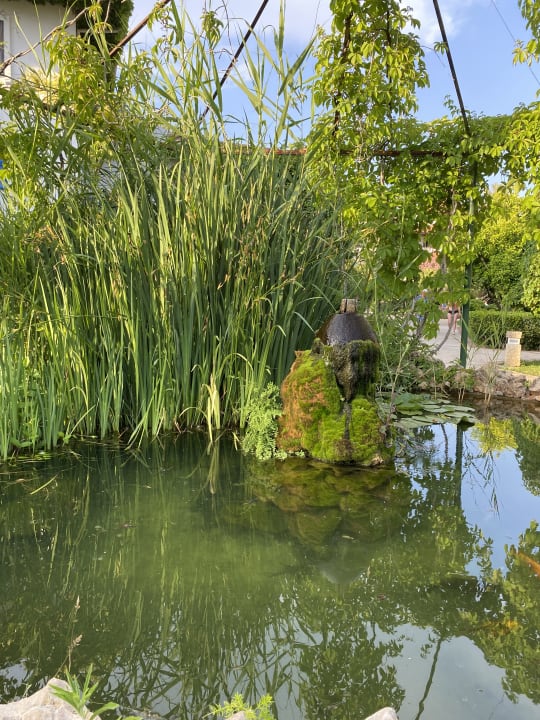 Gartenanlage Belconti Resort Hotel