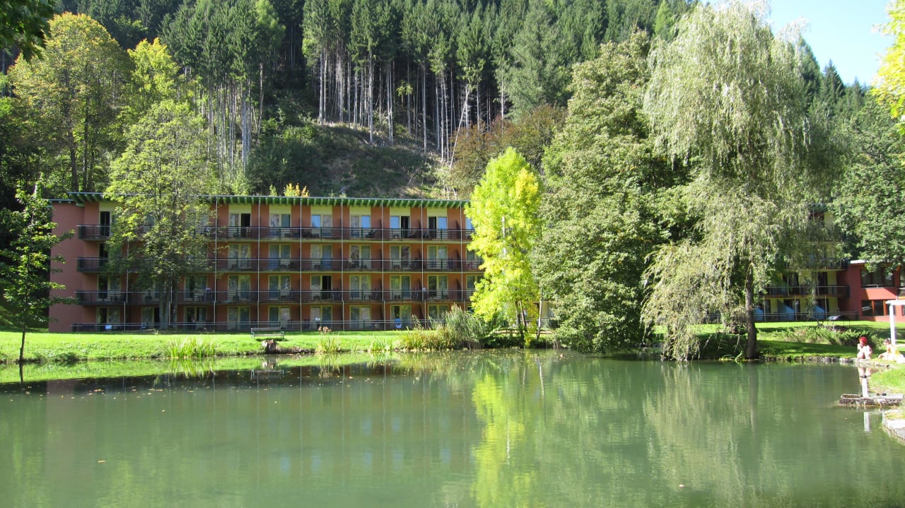 Haus Hochobir: nur Einzelzimmer Vivea Hotel Bad Eisenkappel