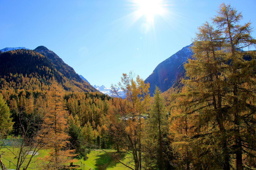 Indian Summer - einfach traumhaft! Hotel Saratz