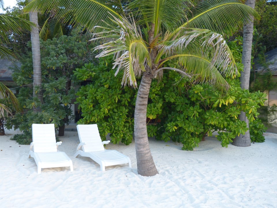 Strand Bungalows 221-222 Summer Island Maldives