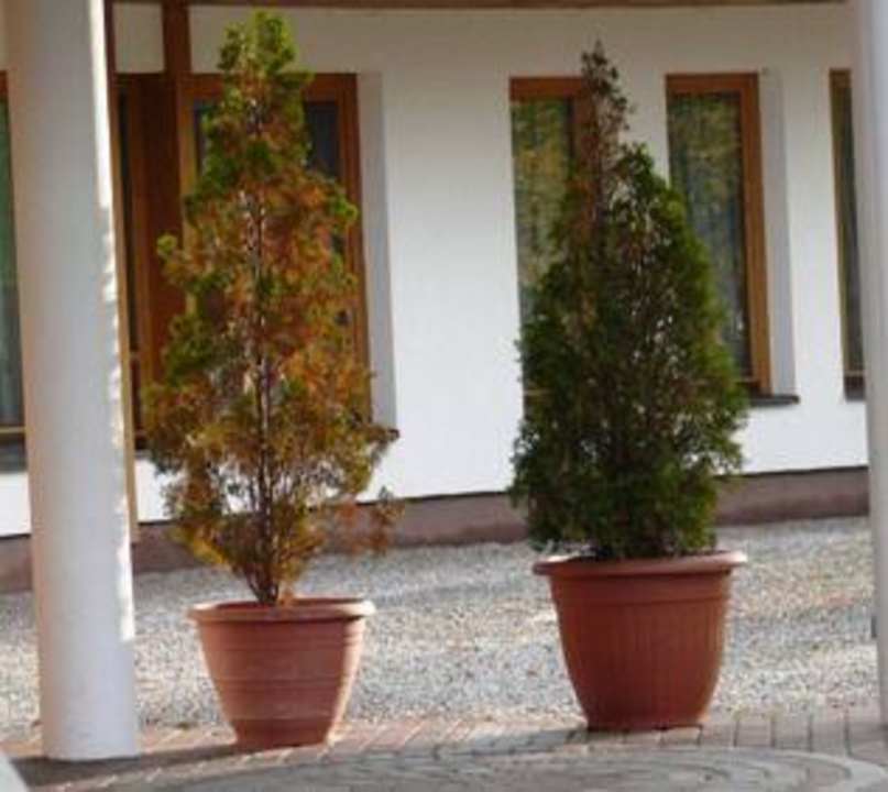 Pflanzen am Eingang Hotel Sunnbichl