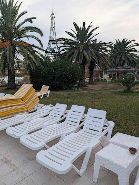 Pool Shalimar Hammamet