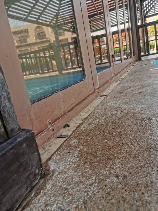 Pool Miramar Al Aqah Beach Resort