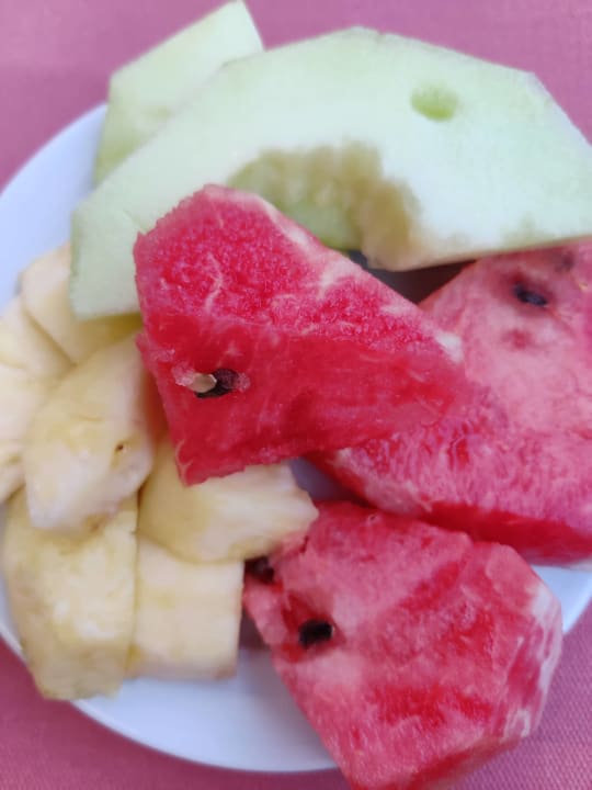 Gastro Sorgun Akadia Luxury 16+