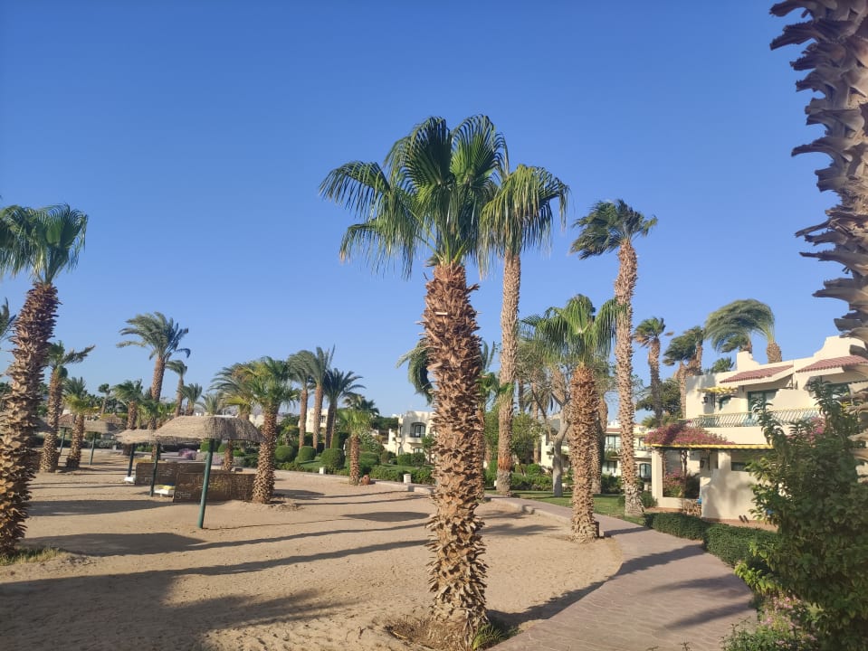 Außenansicht Lotus Bay Beach Resort