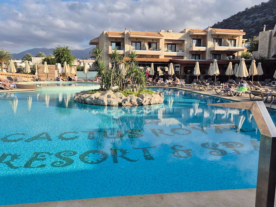 Pool Cactus Royal
