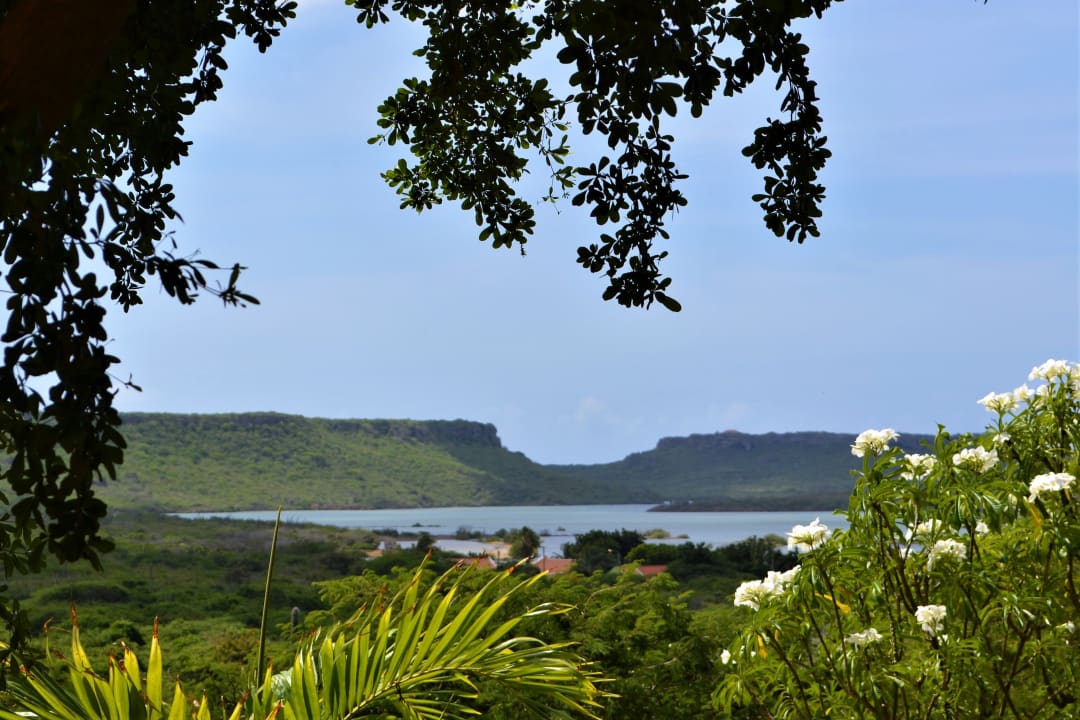 Ausblick Jan Kok Lodges