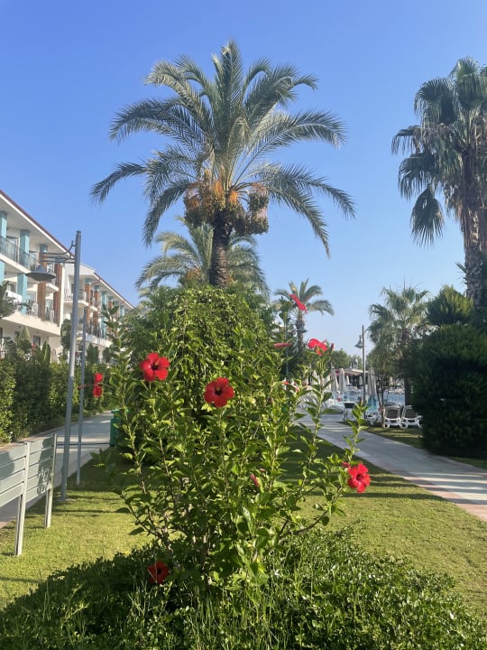 Gartenanlage Belek Beach Resort Hotel