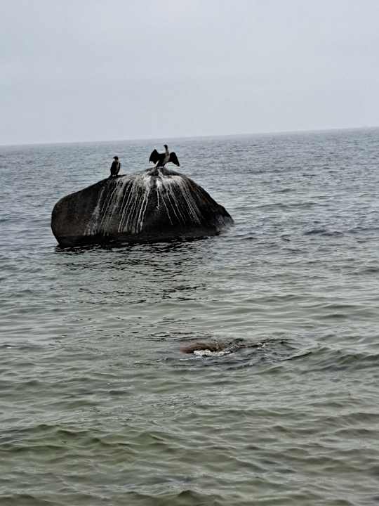 Strand Santé Royale Rügen Resort