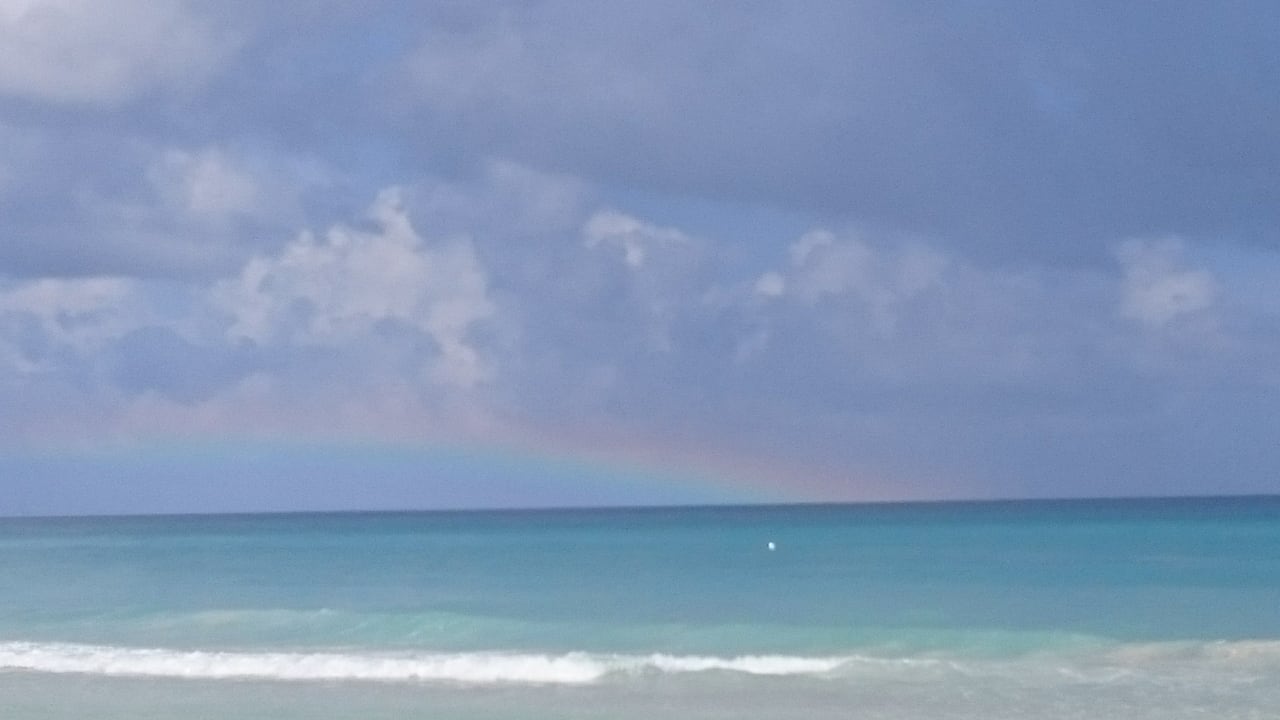 Strand Starfish Cuatro Palmas